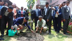 वृक्षारोपण वर्ष-प्रधानमन्त्रीले ओलीले विरुवा रोपे