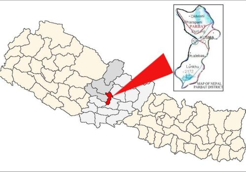 पर्वतको जलजलामा १५ हजार रोपनी सार्वजनिक जग्गा अतिक्रमण